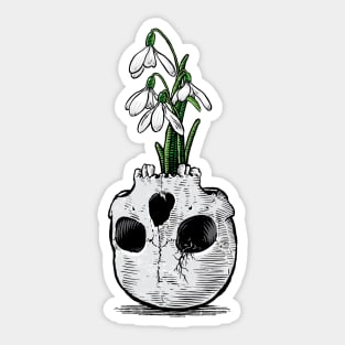 Snowdrops in a skull Sticker